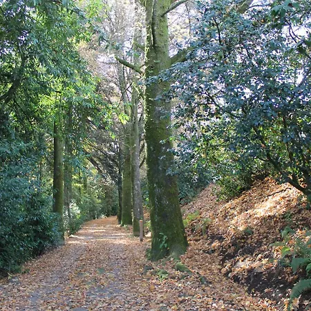 Apartment Minho House *