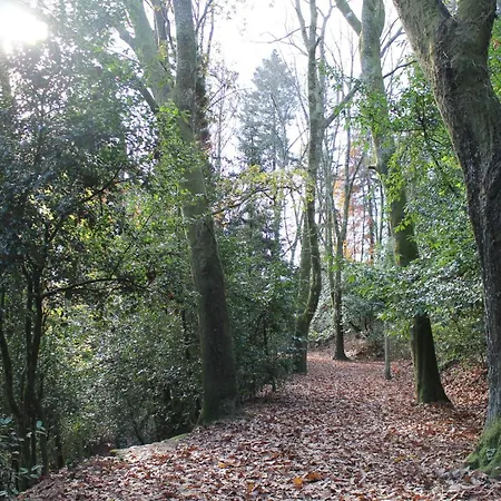 Apartment Minho House