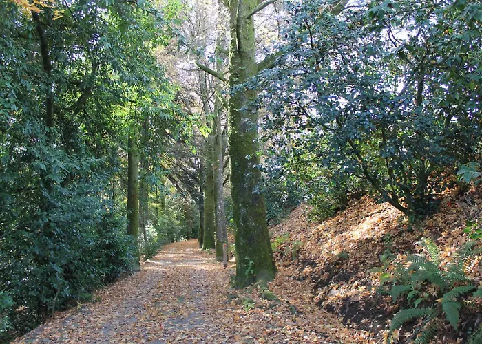 Appartement Minho House *