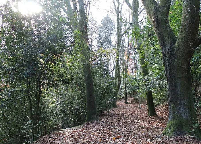 Appartement Minho House